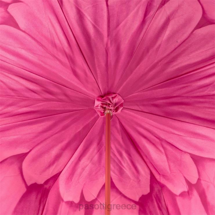 ομπρέλα | PASOTTI 189 21065-30 a - ομπρέλα φούξια ντάλια διπλό πανί 2N6B8377 γυναίκες